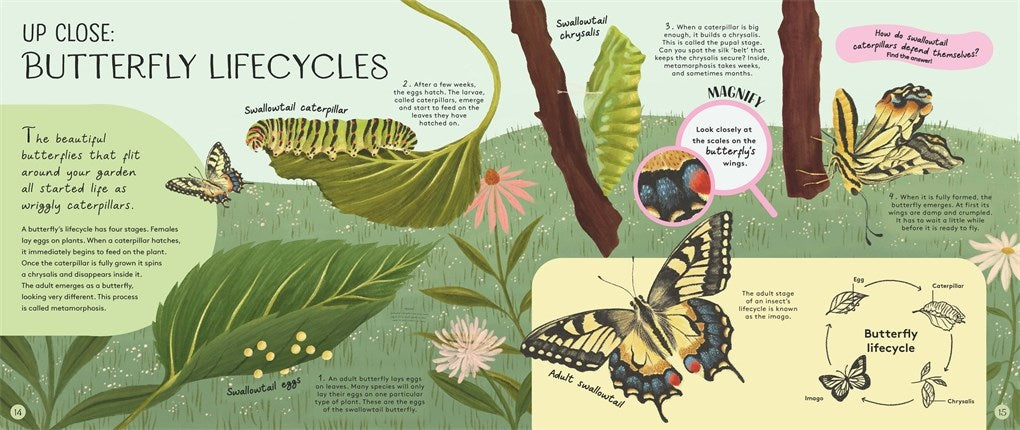 Minibeasts: Under the Magnifying Glass