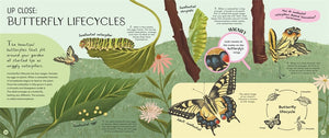 Minibeasts: Under the Magnifying Glass
