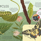 Minibeasts: Under the Magnifying Glass