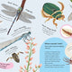 Minibeasts: Under the Magnifying Glass