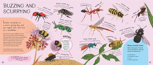 Minibeasts: Under the Magnifying Glass