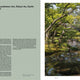 Modern Japanese Garden