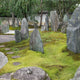 Modern Japanese Garden