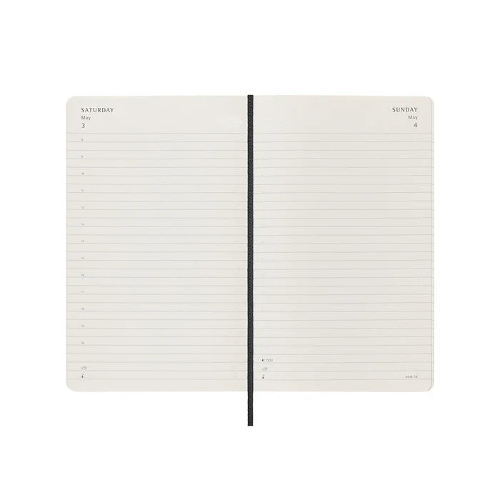 Moleskine Daily Diary Softcover Large 2025