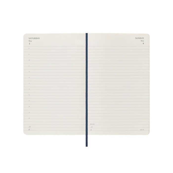 Moleskine Daily Diary Softcover Large 2025