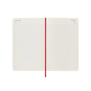 Moleskine Daily Diary Softcover Large 2025