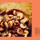Mushroom: 80 Recipes Celebrating Remarkable Mushrooms