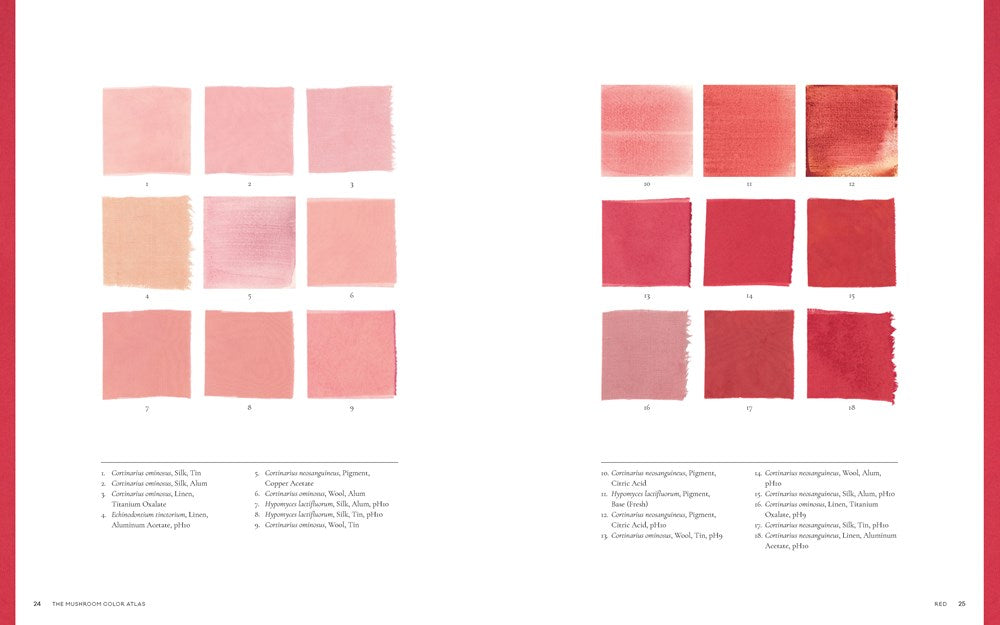 Mushroom Color Atlas: A Guide to Dyes and Pigments Made from Fungi