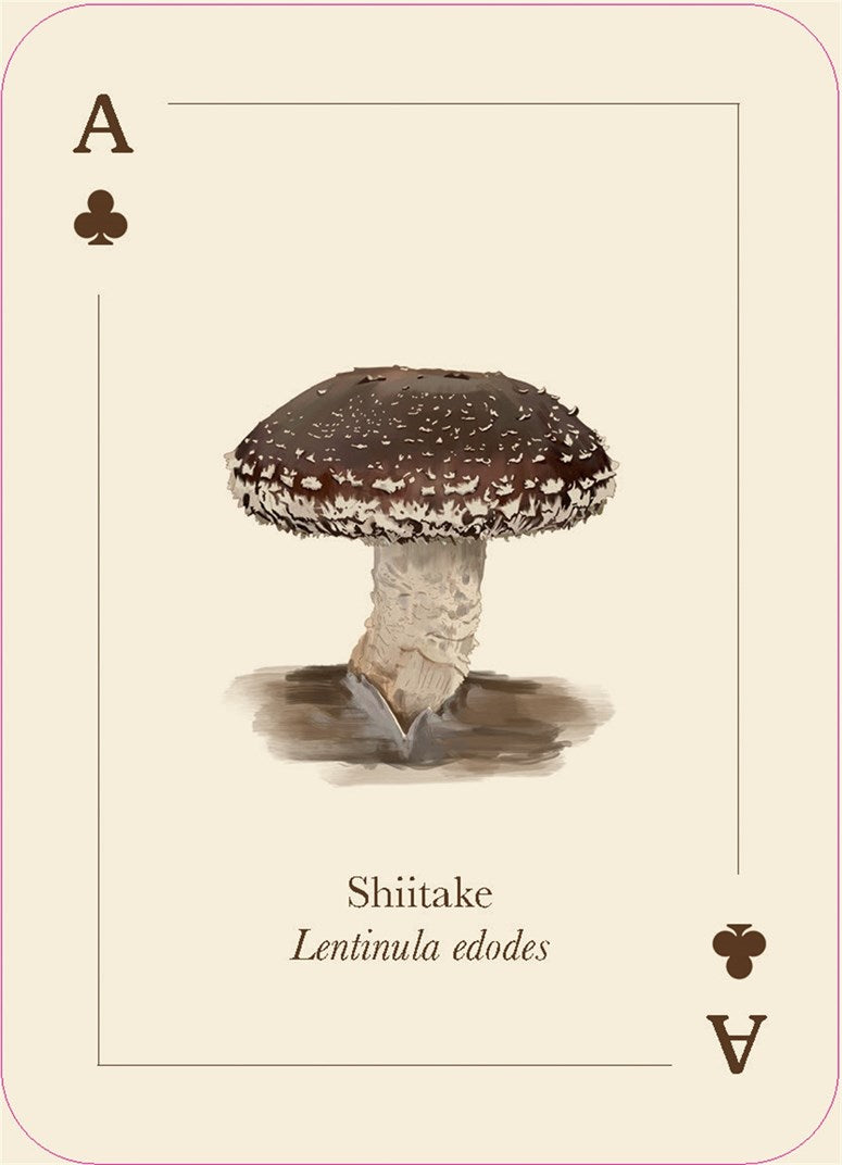 Mushrooms of the Wild: 54 Playing Cards