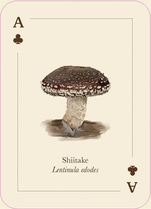 Mushrooms of the Wild: 54 Playing Cards