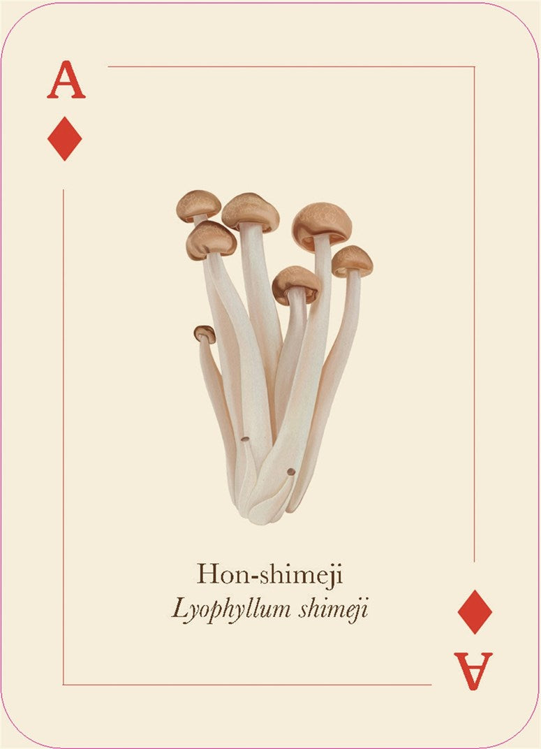 Mushrooms of the Wild: 54 Playing Cards