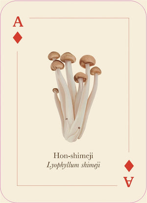 Mushrooms of the Wild: 54 Playing Cards