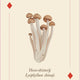 Mushrooms of the Wild: 54 Playing Cards