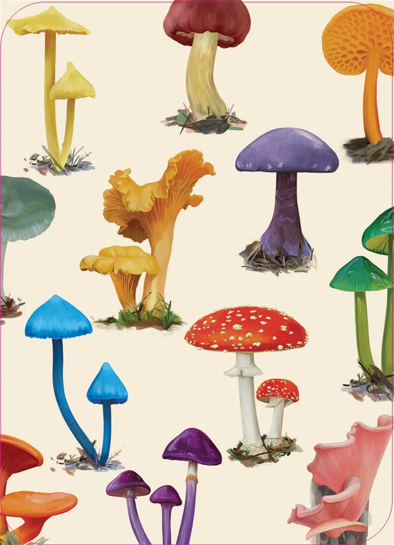 Mushrooms of the Wild: 54 Playing Cards