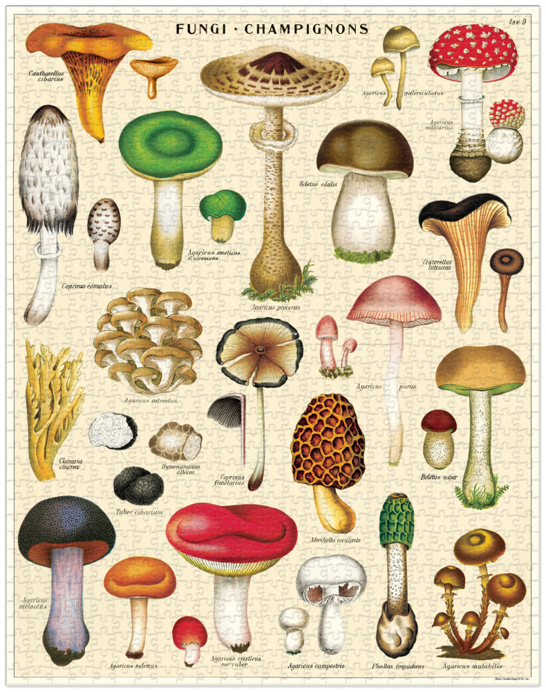 Mushrooms Vintage Puzzle 1000 Pieces