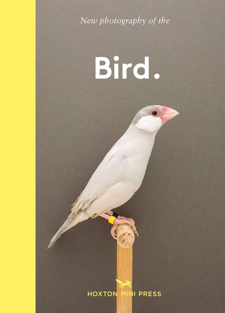 Bird: New photography of the Bird