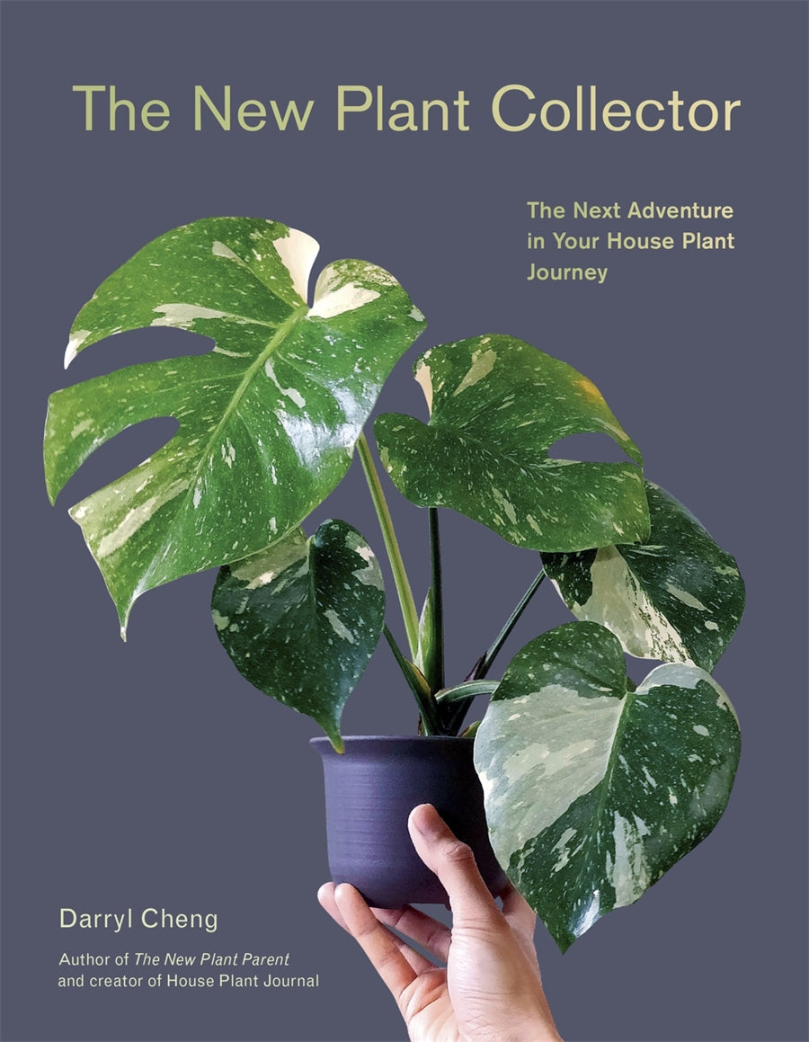 New Plant Collector