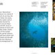 Ocean:  From the Shore to the Abyss