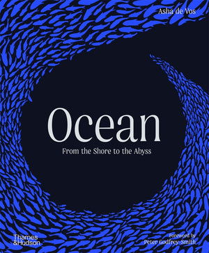 Ocean:  From the Shore to the Abyss
