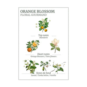 Orange Blossom Body Lotion