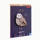 Otto Owl A4 Donna Wilson Creatures Wall Art