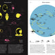 Phenomena: An Infographic Guide to Almost Everything