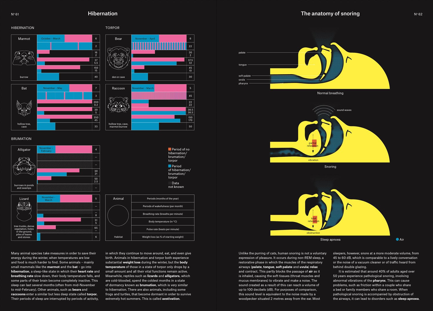 Phenomena: An Infographic Guide to Almost Everything