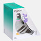 Pigeon Vase