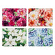 Bold Blooms Assorted 4pk Placemat