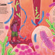 Poo: A (Very) Natural History & A Powerful Future