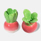 Radish Salt & Pepper