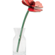 Red Rose Everlasting Flowers