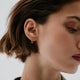 Roma Tigers Eye Earrings