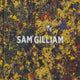 Sam Gilliam