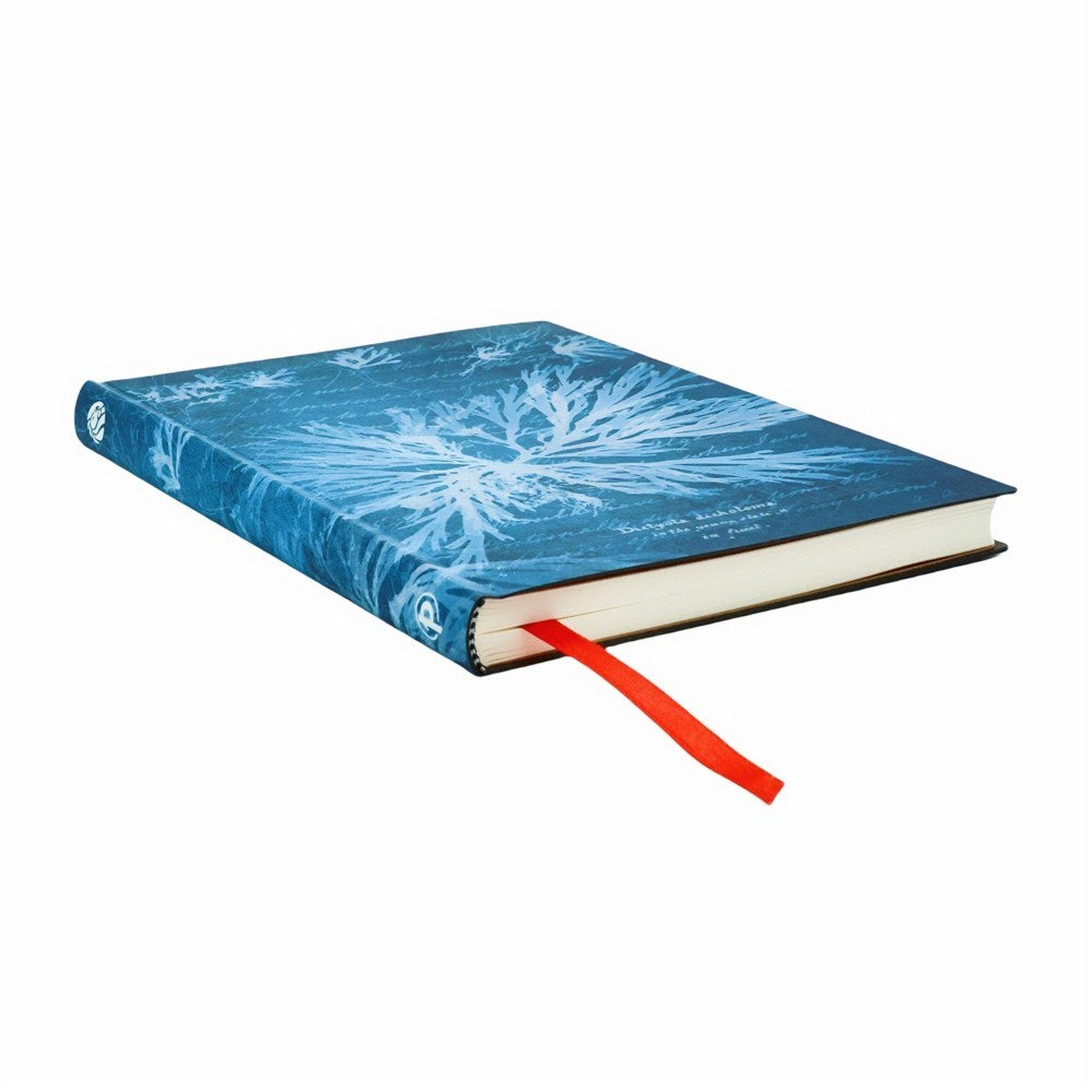 Sea Flowers (Anna Atkins Cyanotypes) Midi Softcover Journal