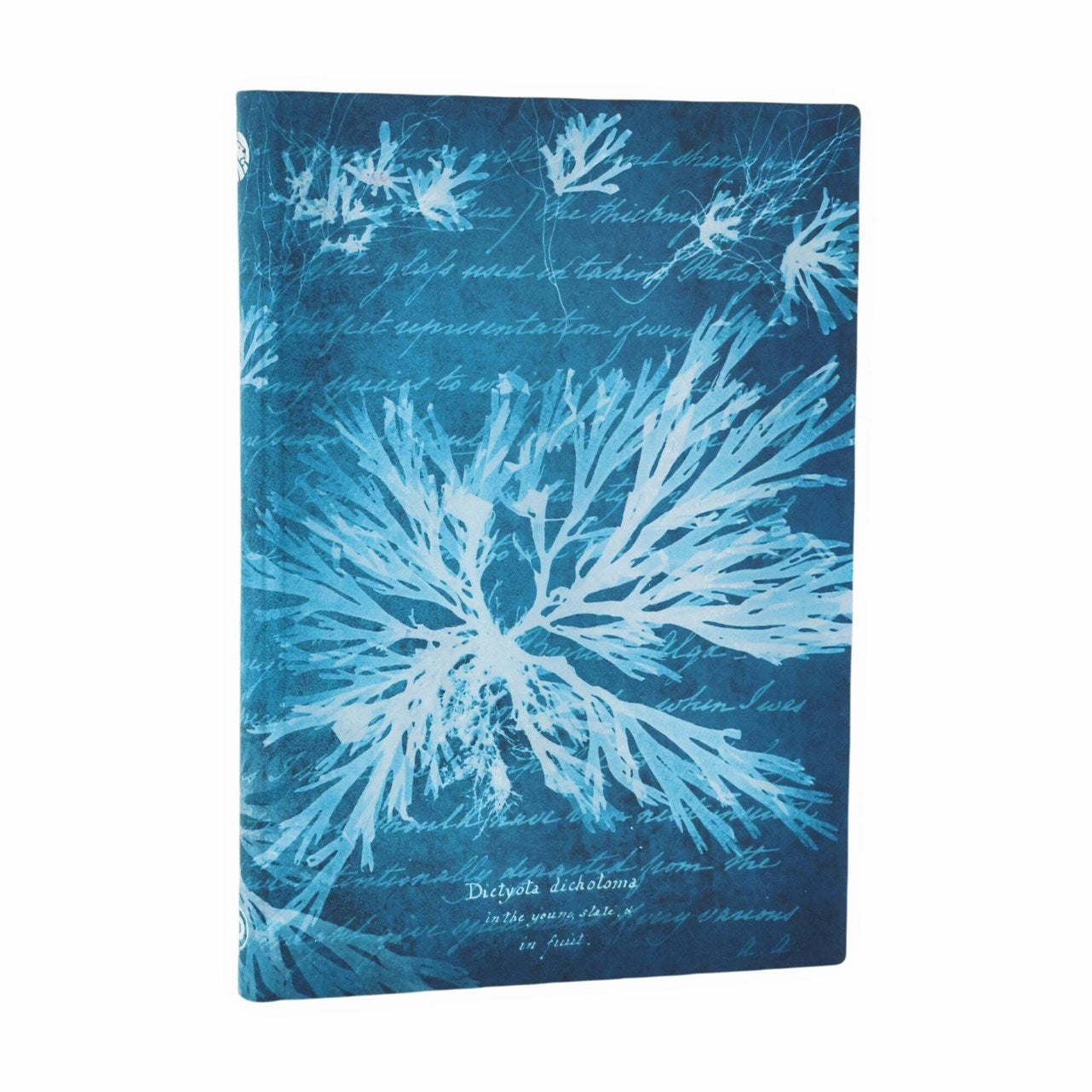 Sea Flowers (Anna Atkins Cyanotypes) Midi Softcover Journal