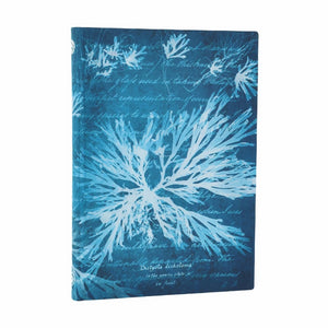 Sea Flowers (Anna Atkins Cyanotypes) Midi Softcover Journal