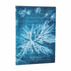 Sea Flowers (Anna Atkins Cyanotypes) Midi Softcover Journal