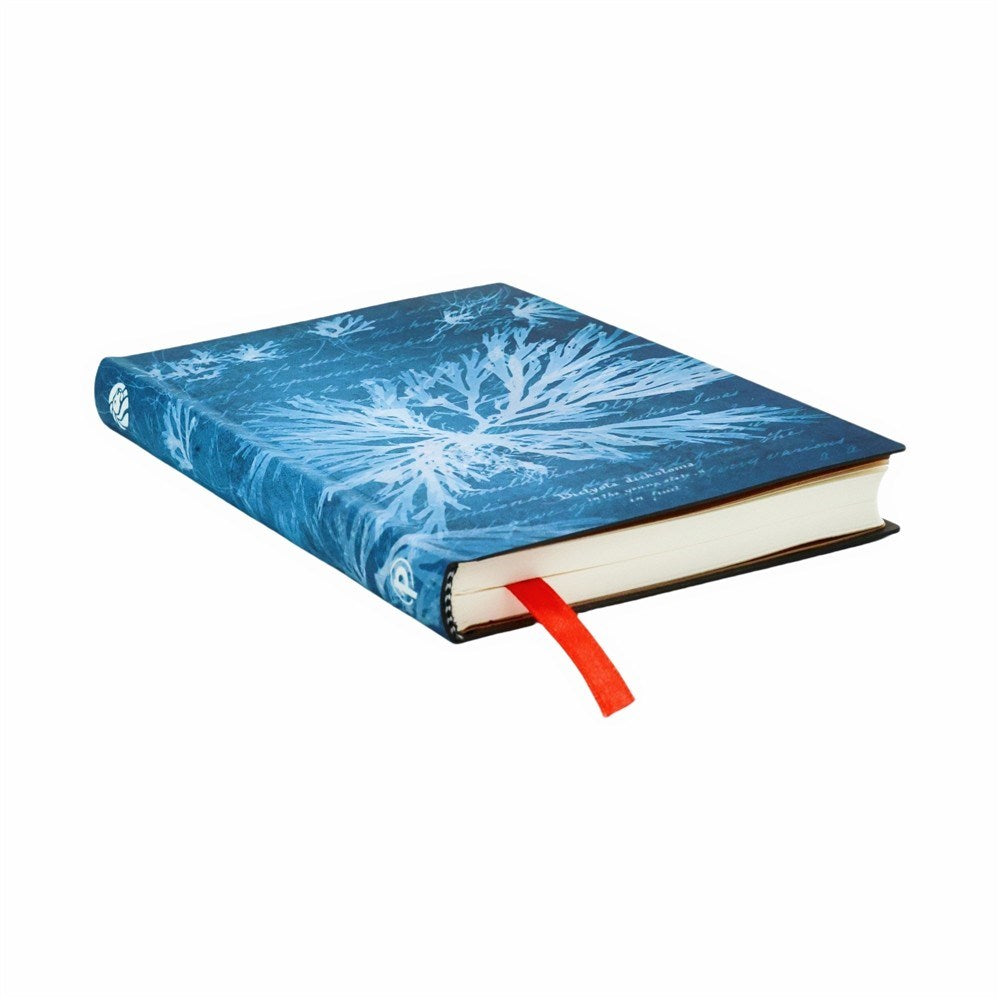 Sea Flowers (Anna Atkins Cyanotypes) Mini Lined Softcover Journal
