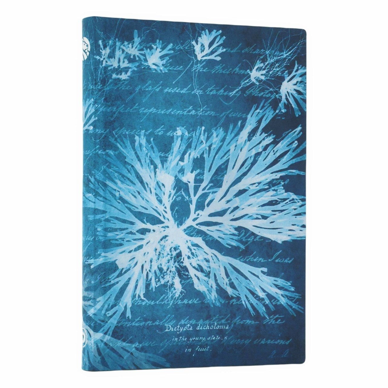 Sea Flowers (Anna Atkins Cyanotypes) Mini Lined Softcover Journal