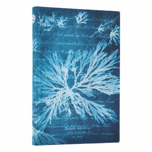 Sea Flowers (Anna Atkins Cyanotypes) Mini Lined Softcover Journal