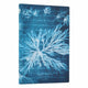 Sea Flowers (Anna Atkins Cyanotypes) Mini Lined Softcover Journal