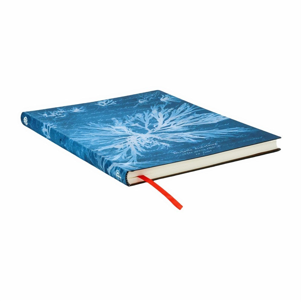 Sea Flowers (Anna Atkins Cyanotypes) Ultra Softcover Journal