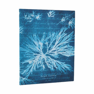 Sea Flowers (Anna Atkins Cyanotypes) Ultra Softcover Journal