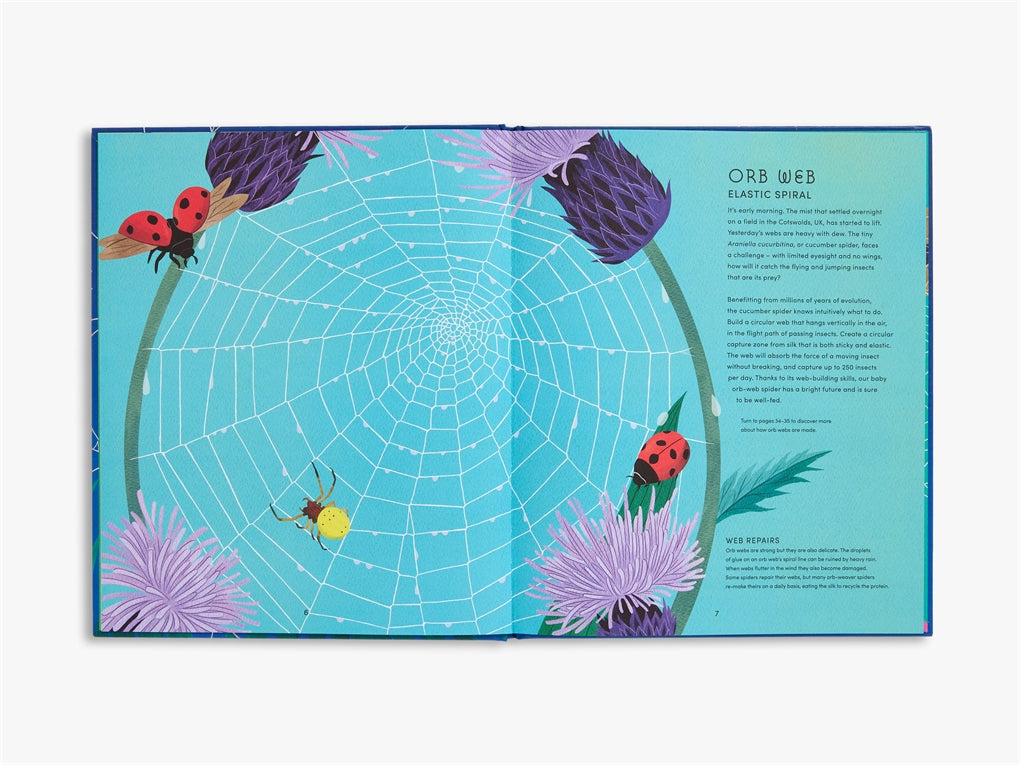The Secret World of Spider Webs