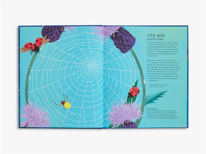 The Secret World of Spider Webs