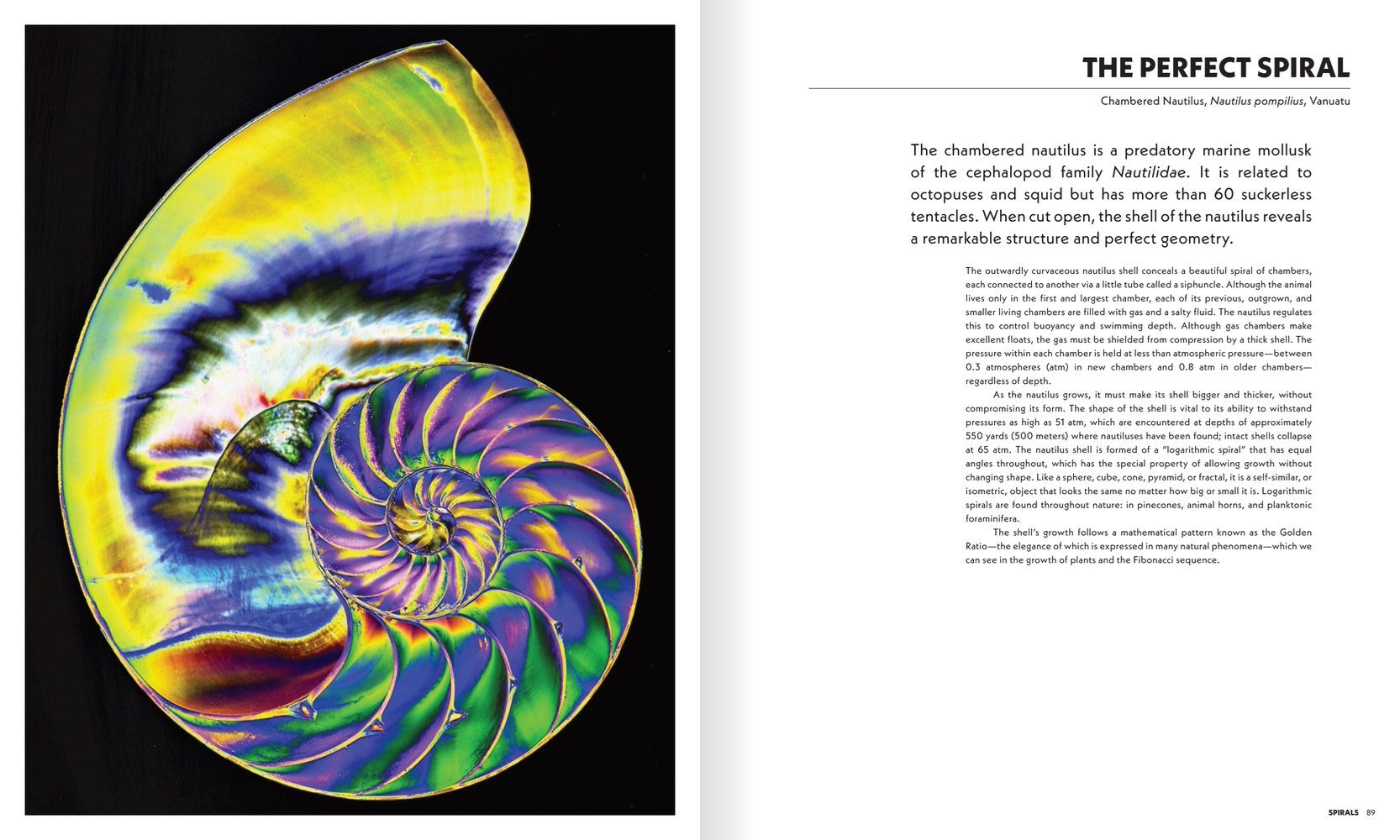 Shape of Nature: The Intricate Patterns of Life