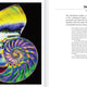 Shape of Nature: The Intricate Patterns of Life