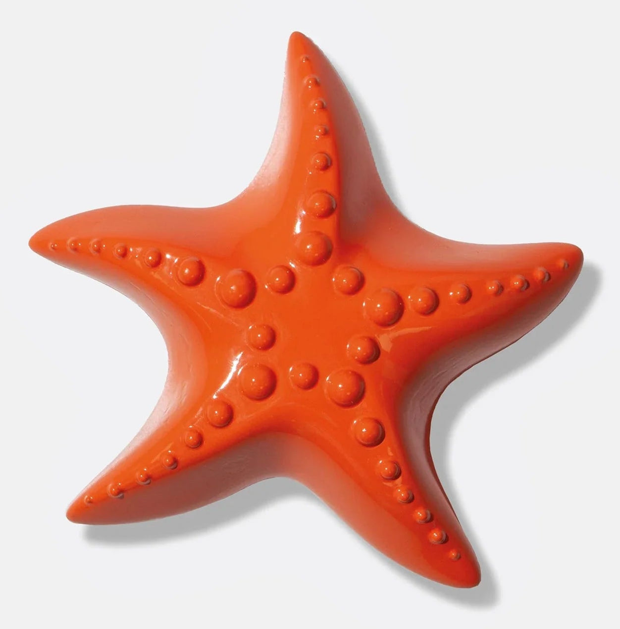 Ocean Dreams Starfish Bottle Opener
