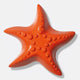 Ocean Dreams Starfish Bottle Opener